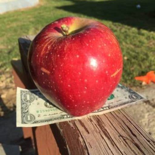 39th Parallel Nursery & Orchard
