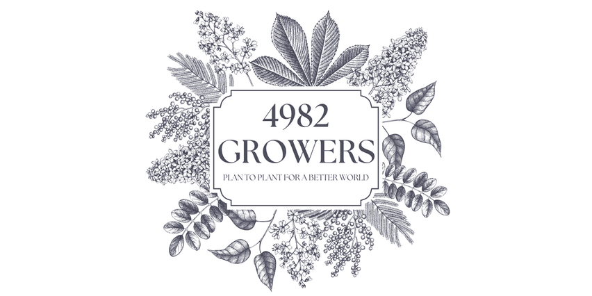 4982 Growers, LLC