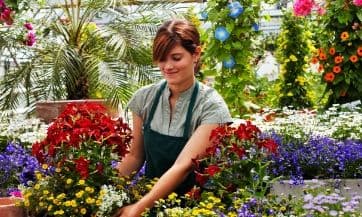 50 East Garden Center & Café