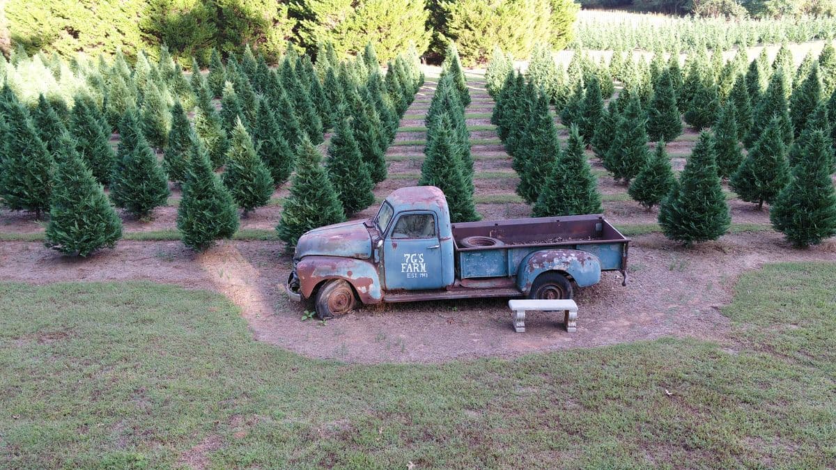 7 Gs Family Farm