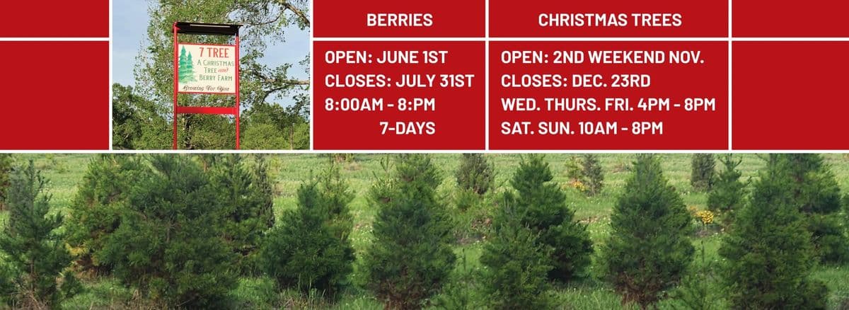 7 Tree Farm