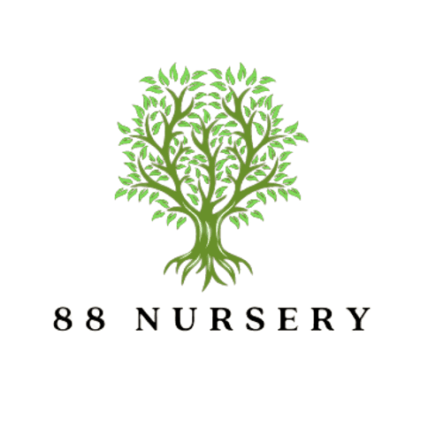 88 Nursery LLC