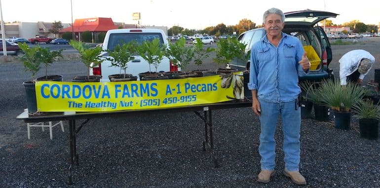 A-1 Pecan Tree Sales