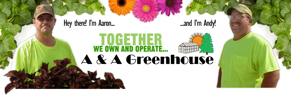 A & A Greenhouse