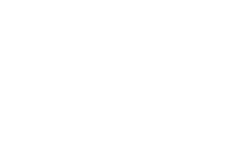 A Daisy A Day