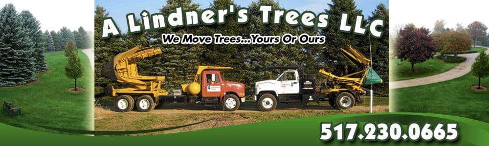 A Lindner's Trees Llc