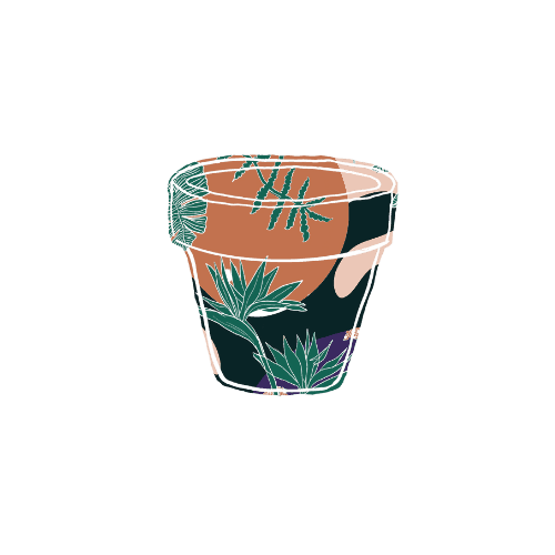 A Pot To Plant In -- Houseplant Shop