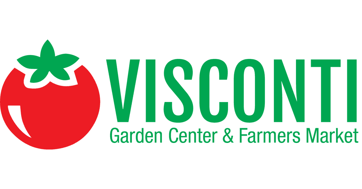 A Visconti Inc