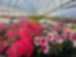 A. Piazza Nursery & Landscape Solutions