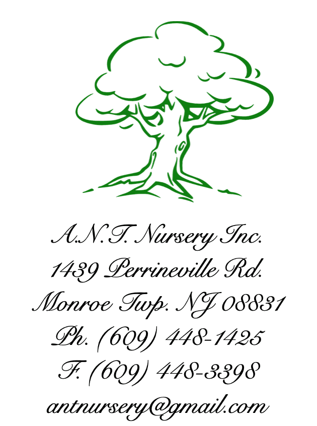 A.N.T. Nursery Inc.