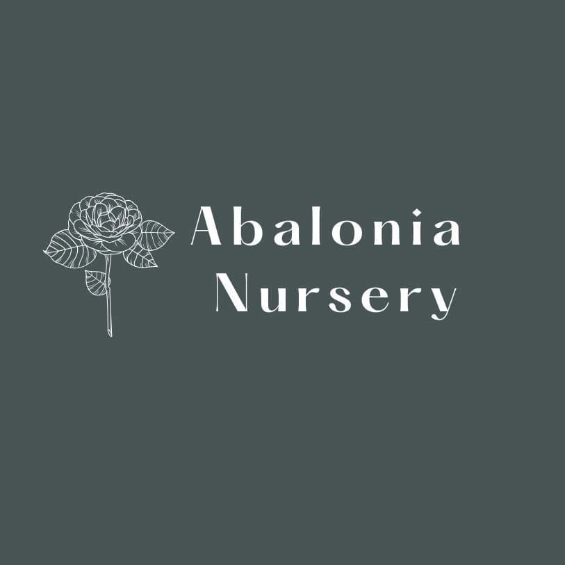 Abalonia Nursery