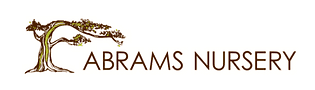 Abrams Nursery