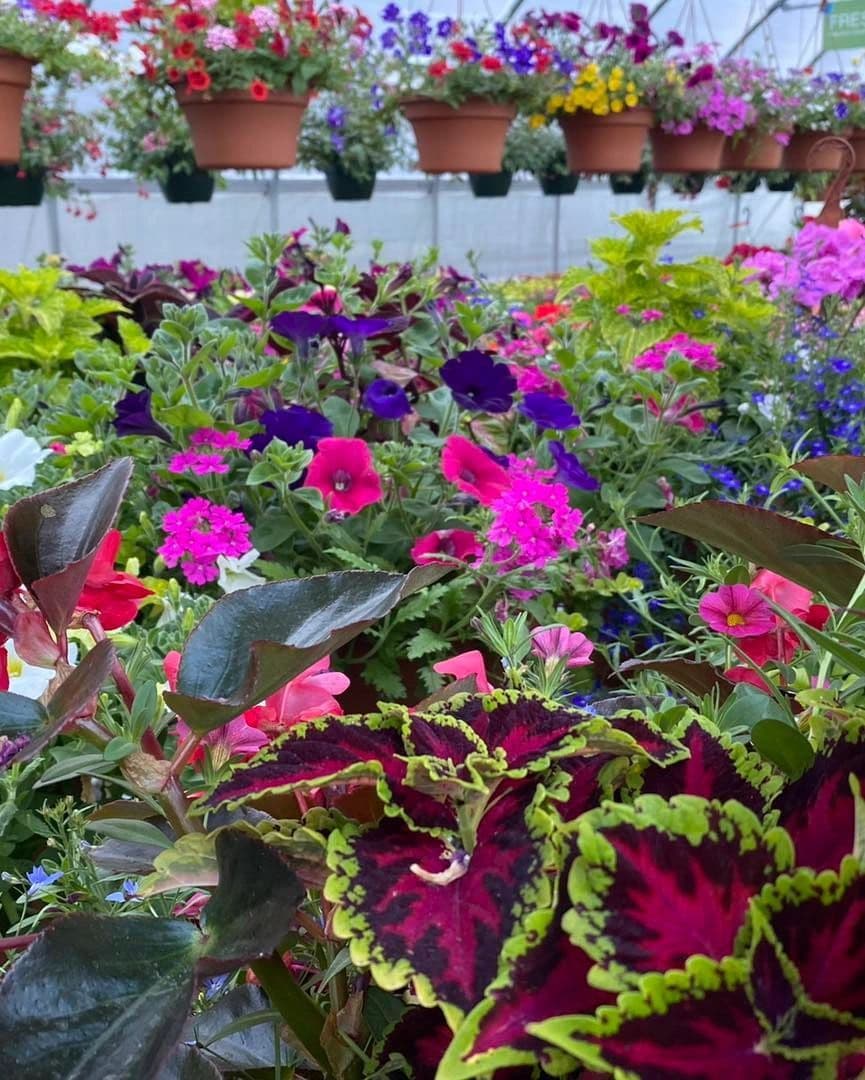 ACA Lawnscape Supply