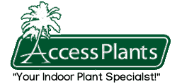 Access Plants LLC