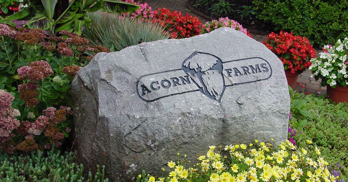 Acorn Farms