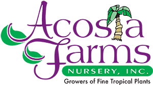 Acosta Farms Nursery Inc