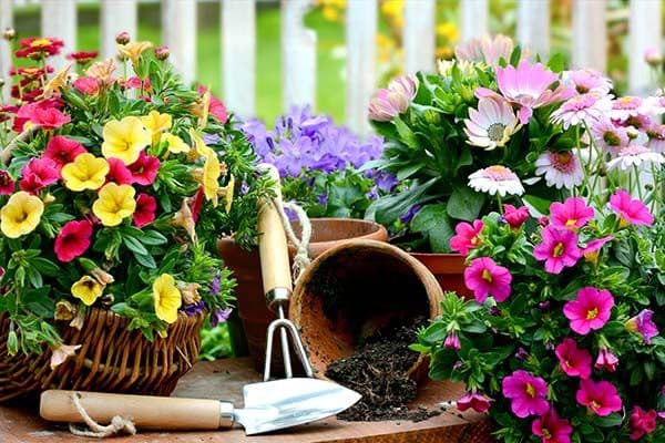 Adam's Garden Center & Gift Shop(Nursery & Landscaping)