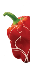 Adams Greenhouse & Produce