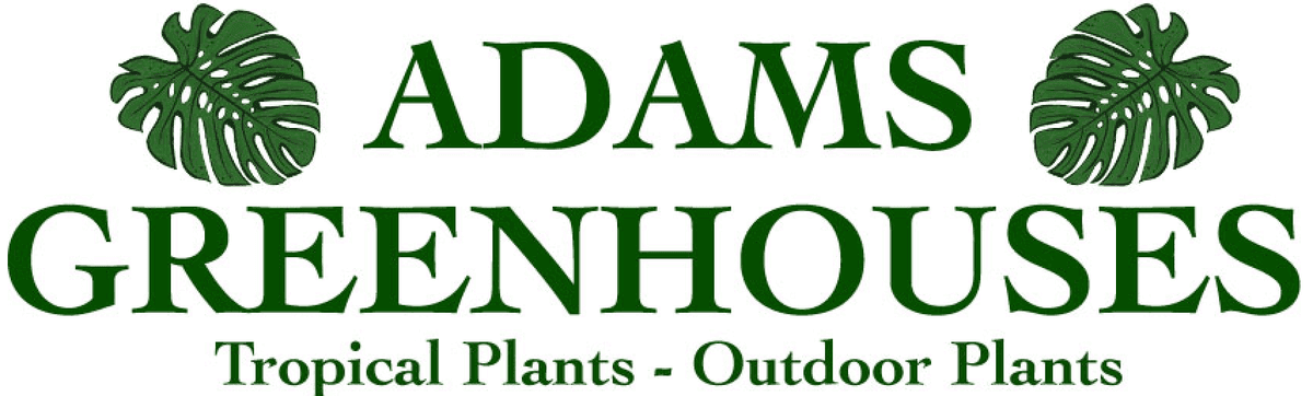 Adams’ Greenhouses