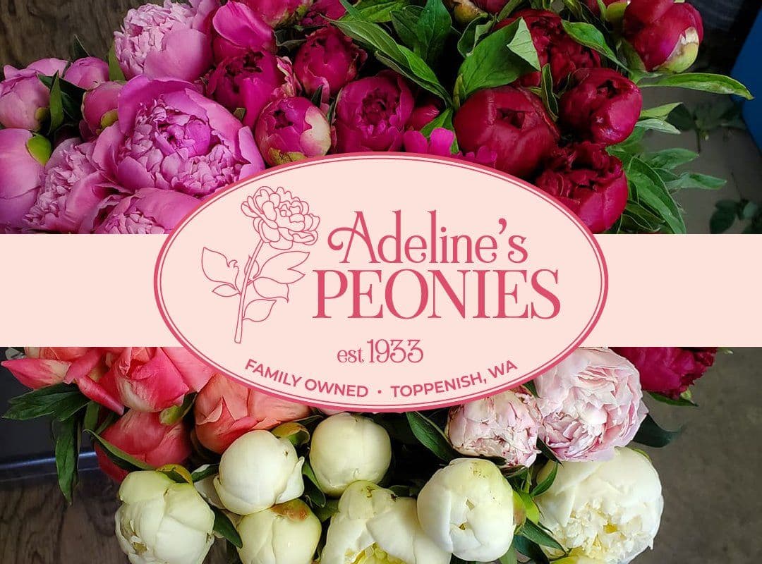 Adeline's Peonies