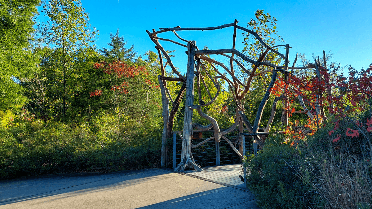 Adkins Arboretum