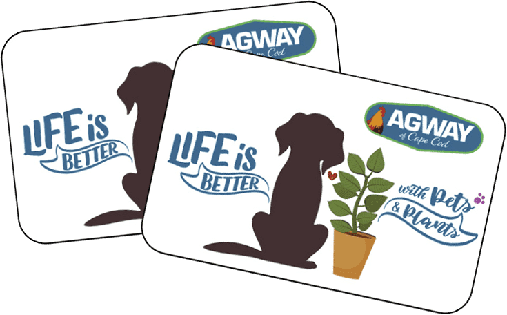 Agway of Cape Cod