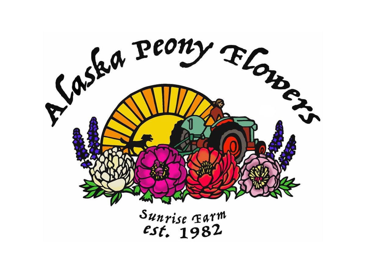 Alaska Peony Flowers