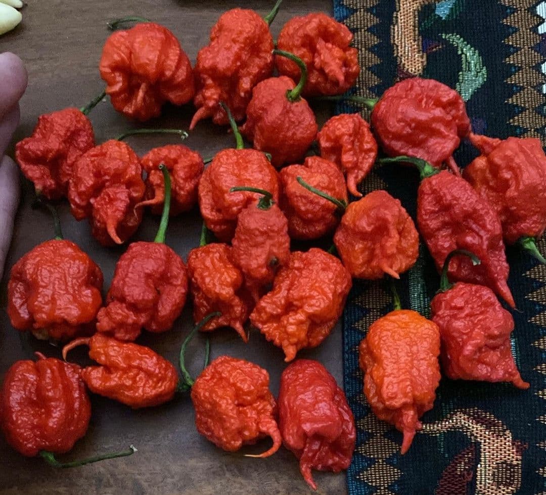 Albrittons Berry Hot Peppers LLC