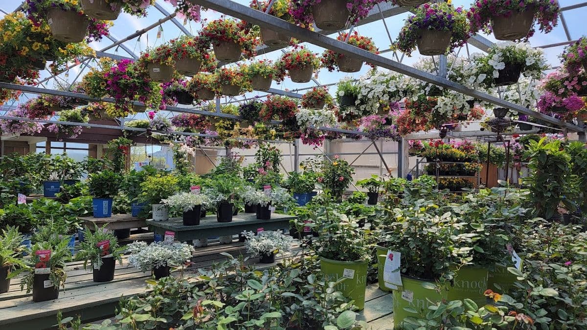 Alcotts Garden Center