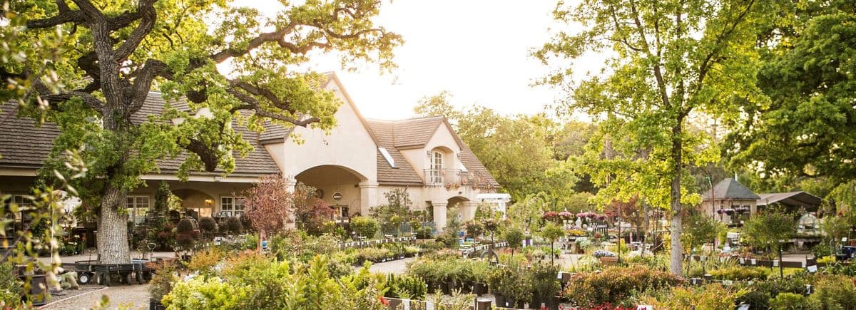 Alden Lane Nursery