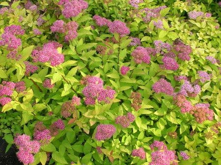 Aldridge Gardens & Greenhouse