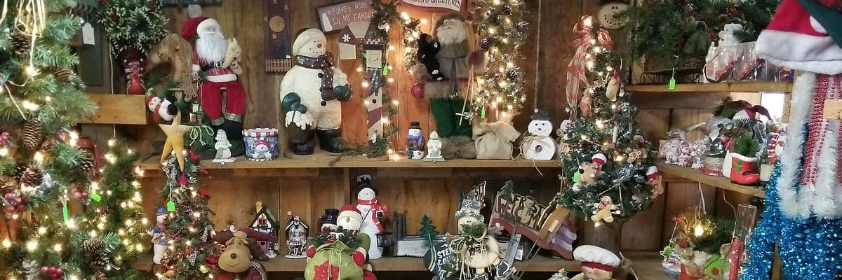 Allison's Christmas Trees