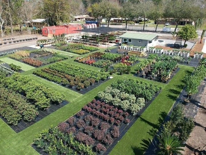 Allstar Garden Center