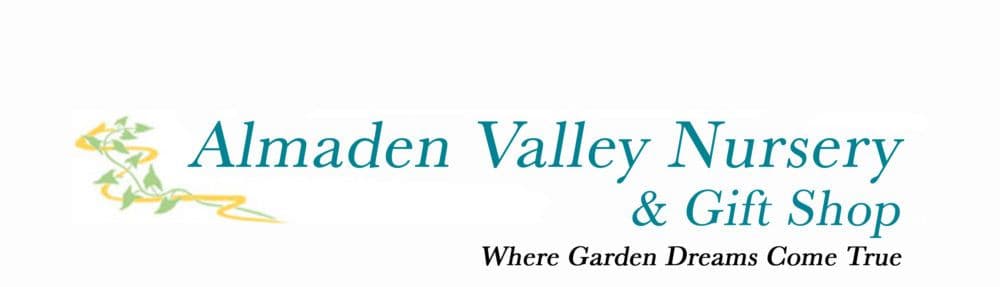 Almaden Valley Nursery