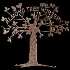 Almond Tree Nursery