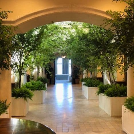 Aloha Interior Plants