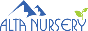 Alta Nursery Inc