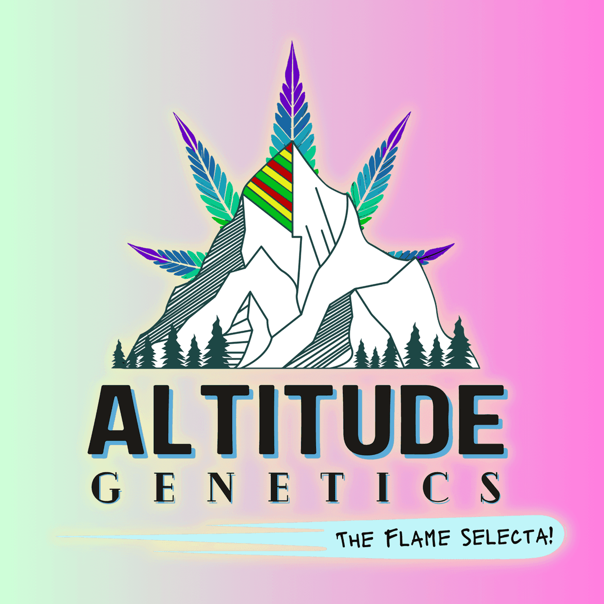 Altitude Genetics