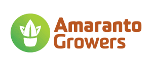 Amaranto Growers