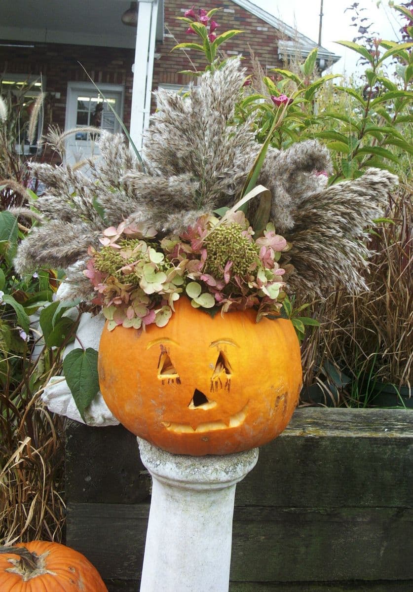 Amberg Perennial Farm & Garden