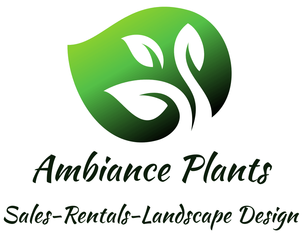 Ambiance Plants, Sales and Rentals
