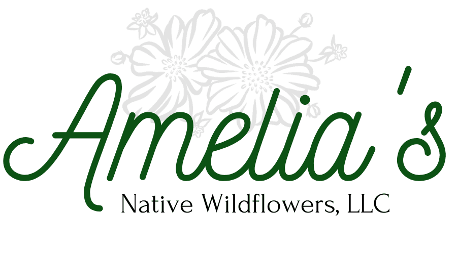 Amelia's Native Wildflowers, LLC
