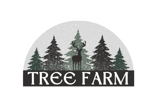 American Christmas Tree Farm