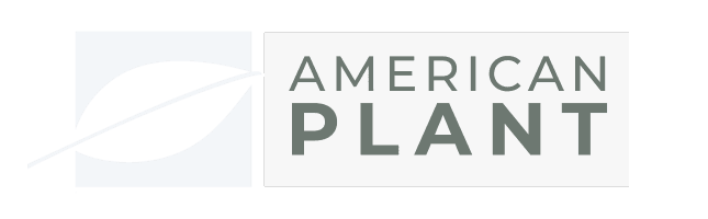 American Plant