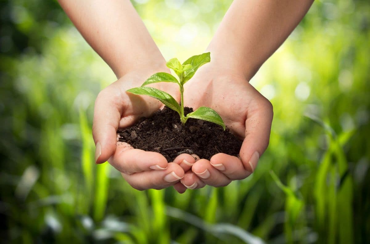America's Best Hydroponics & Garden Center