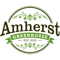 Amherst Greenhouse