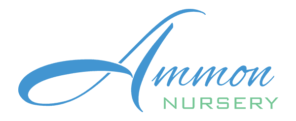 Ammon Nursery