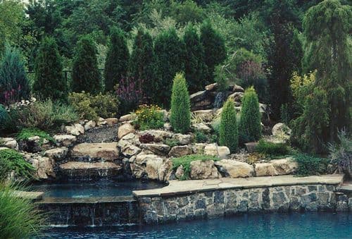 Anchor Landscape