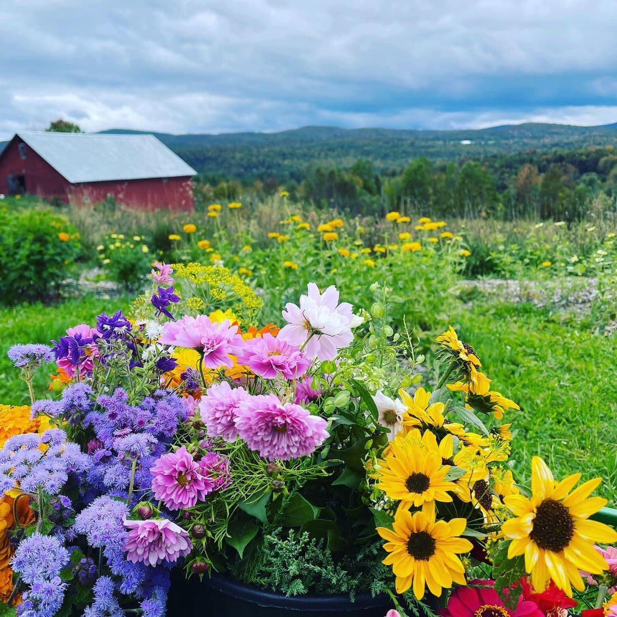 Anderbell Acres