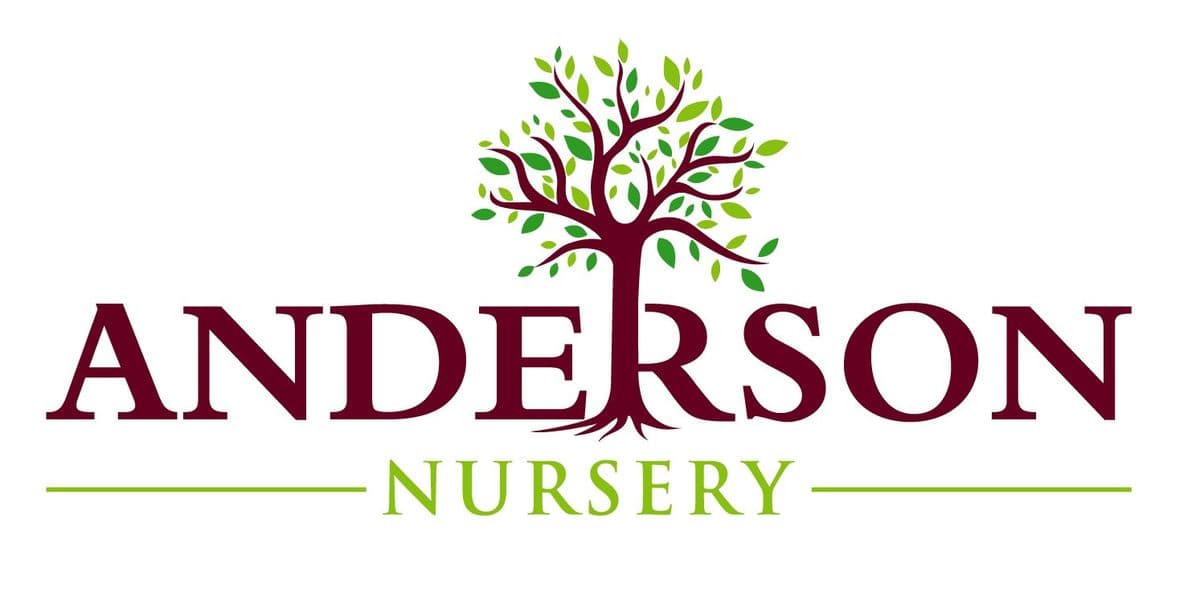 Anderson Nursery LLC